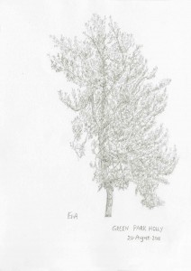 Holly (15.27)